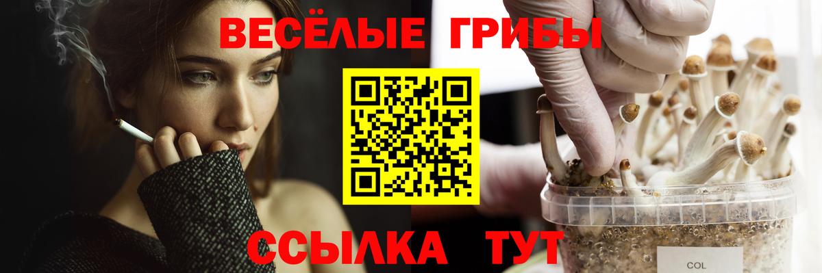Псилоцибиновые грибы мицелий  Псилоцибиновые грибы Psilocybine cubensis  Вход с VPN  Люберцы 